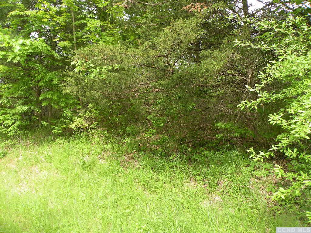 Route 9h/oldpost Road, Ghent, New York image 6