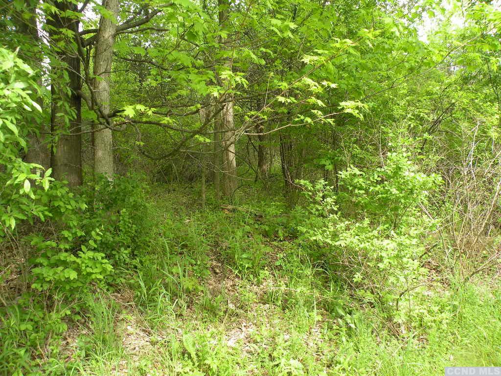 Route 9h/oldpost Road, Ghent, New York image 2