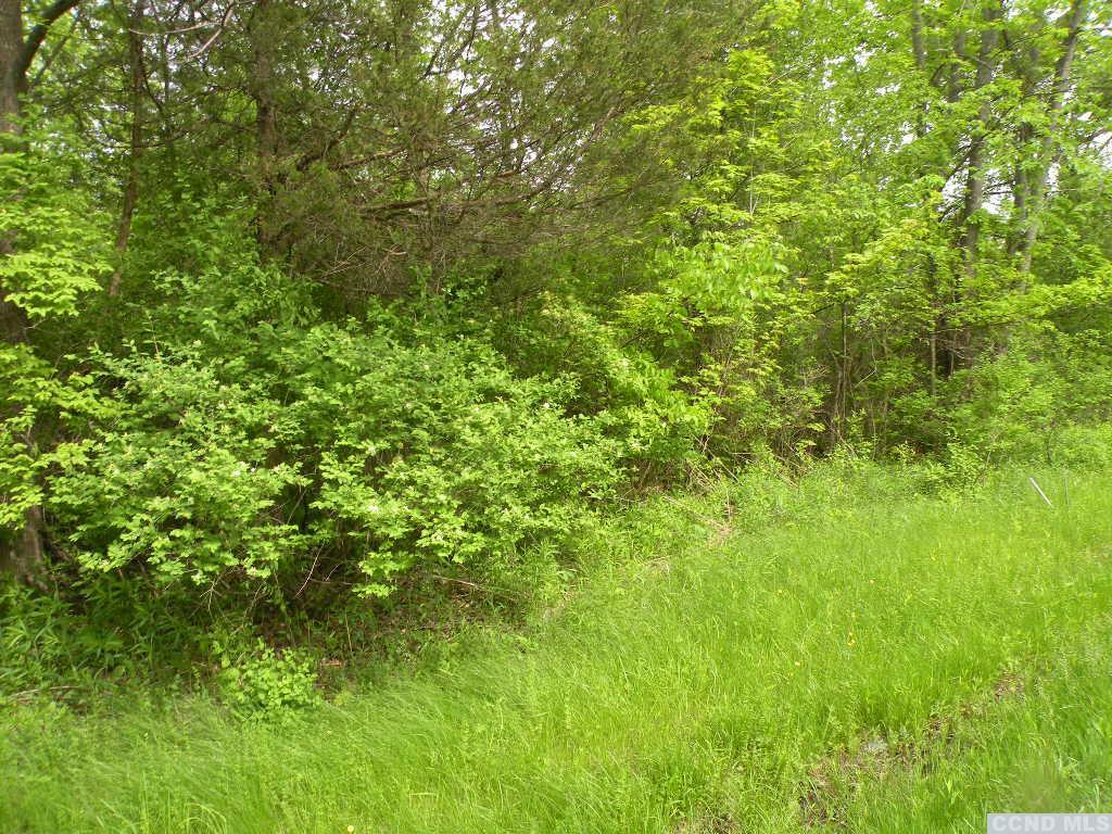 Route 9h/oldpost Road, Ghent, New York image 4