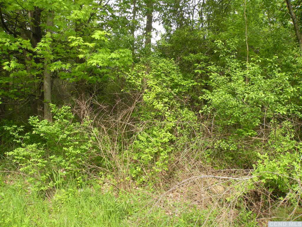 Route 9h/oldpost Road, Ghent, New York image 5