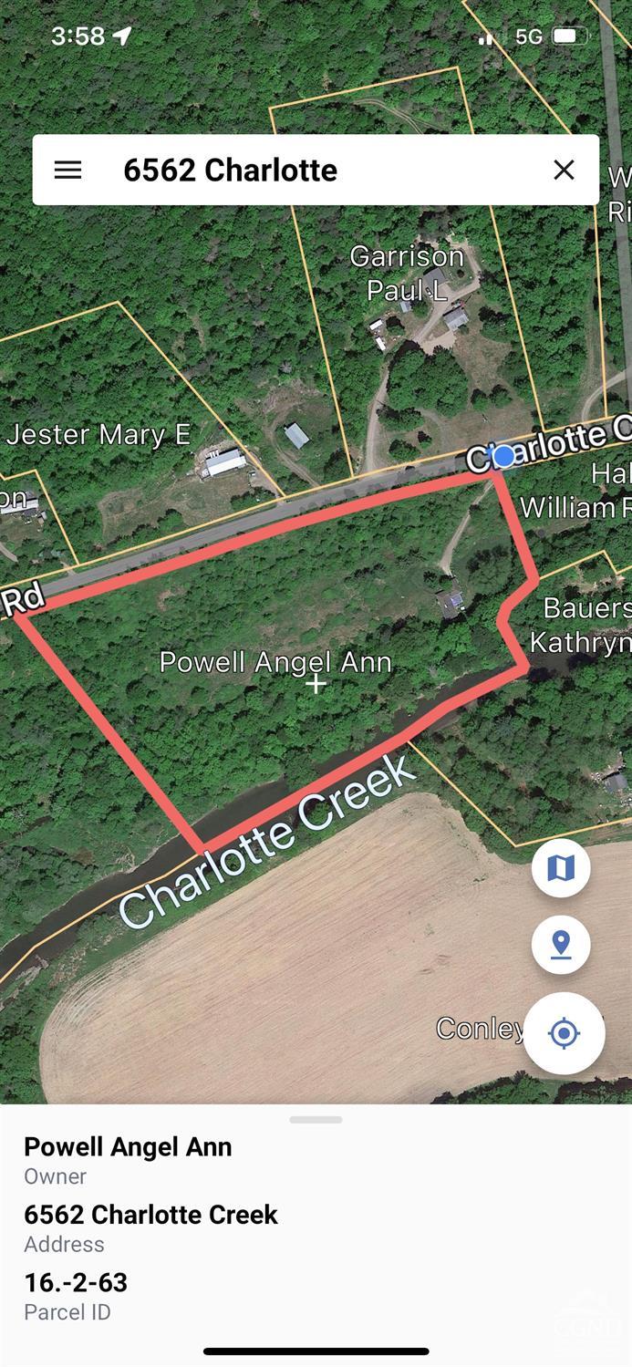 6562 Charlotte Creek Rd Rd, Davenport, New York image 3