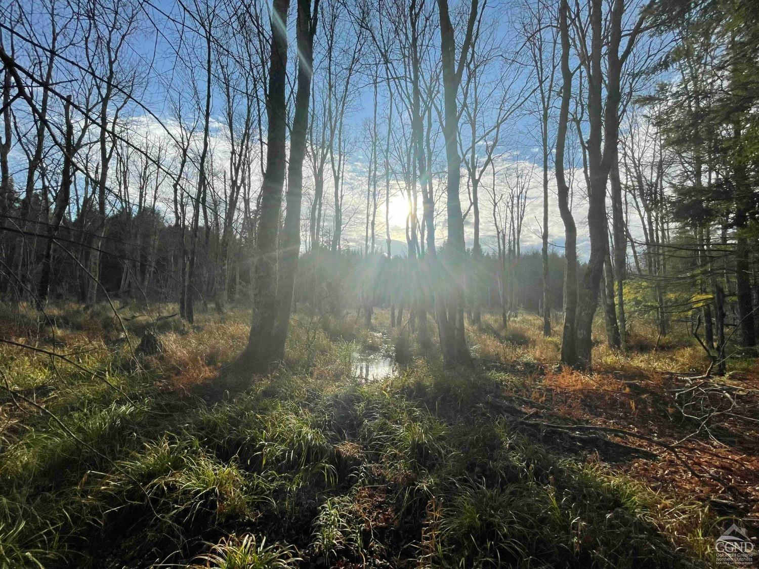 Camp Road, Wawarsing, New York image 17