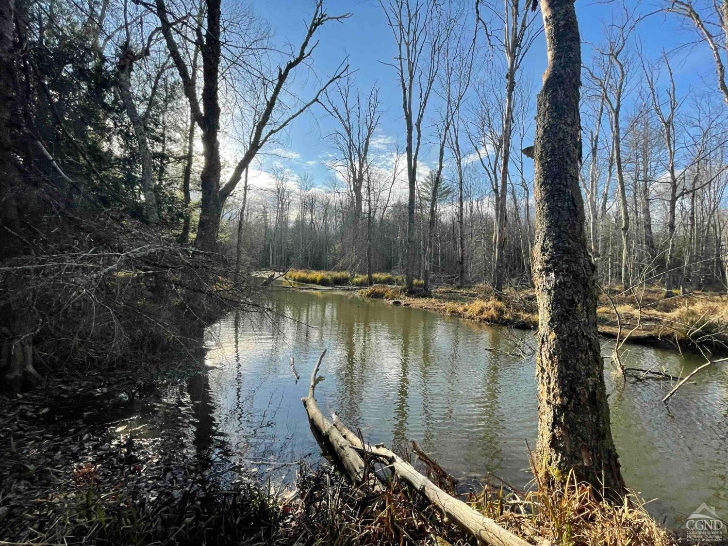 Camp Road, Wawarsing, New York image 16