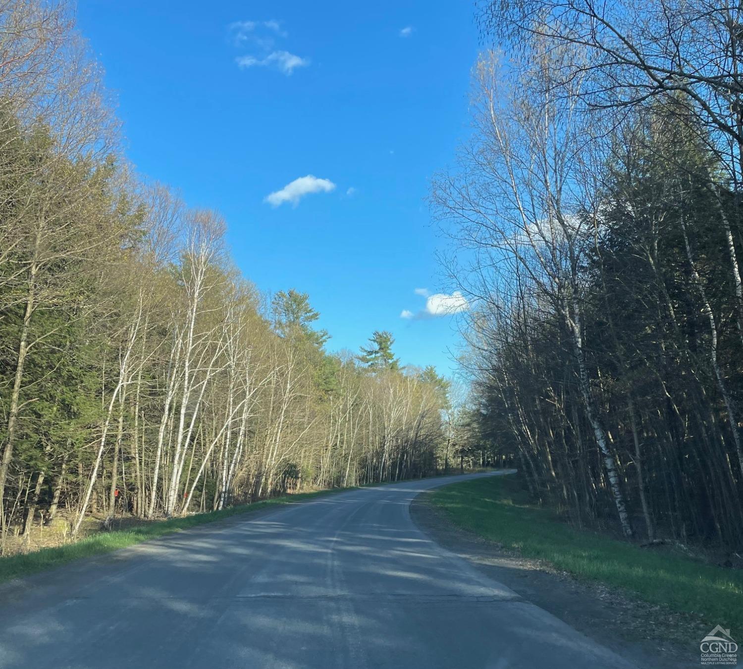 Kingsley Road, Gilboa, New York image 14