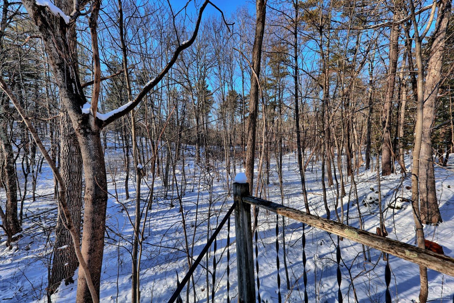 221 S Jarvis Road, Coeymans, New York image 40