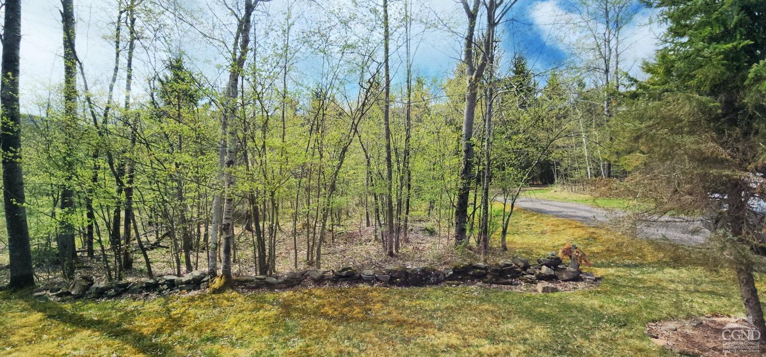 35 Squaw Valley Trail, Jewett, New York image 23