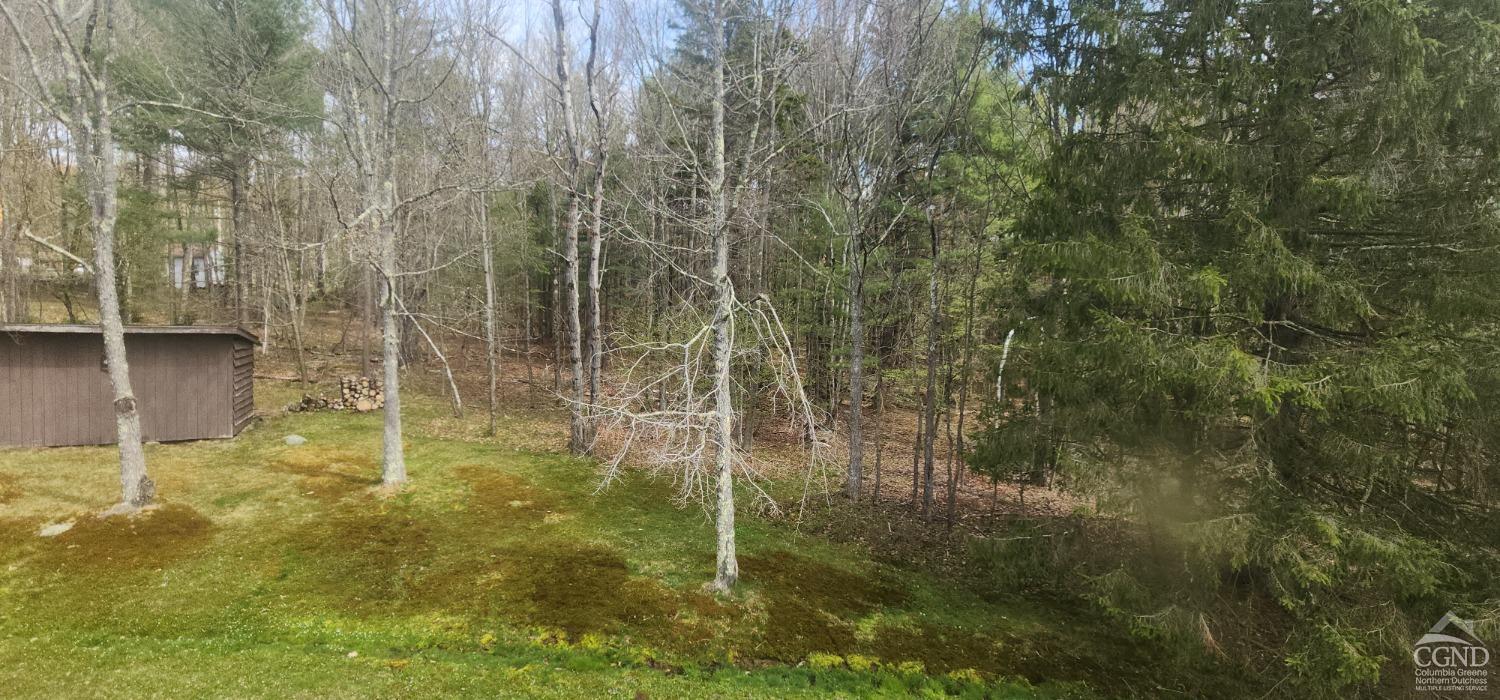 35 Squaw Valley Trail, Jewett, New York image 19