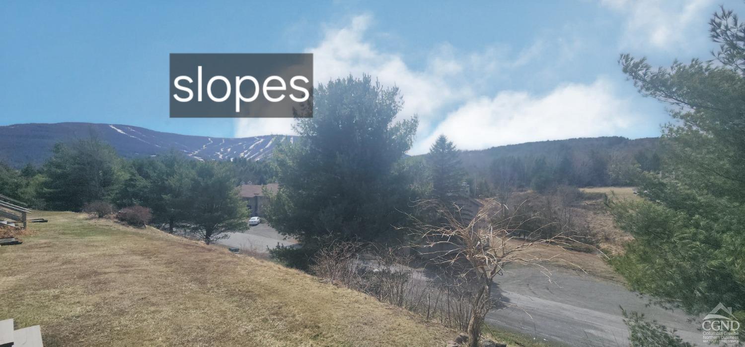 69 Windham Ridge Road #16F, Windham, New York image 21