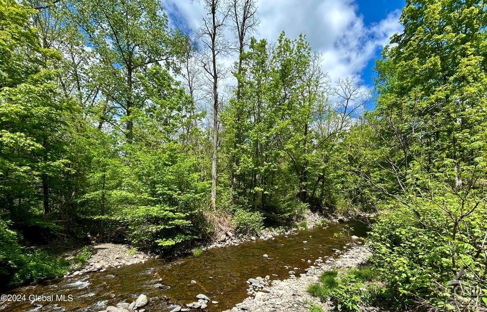 83 Mcculloch Cross Rd Rd, Medusa, New York image 43