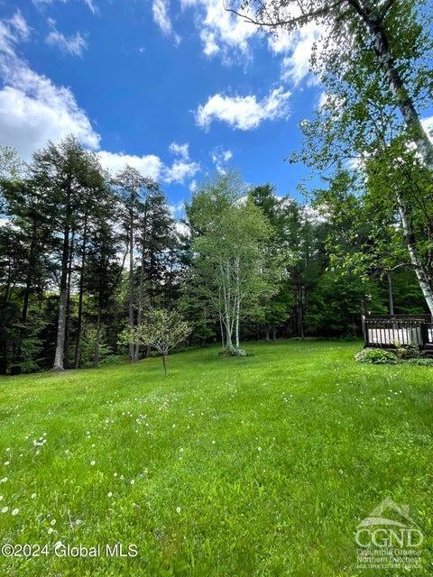83 Mcculloch Cross Rd Rd, Medusa, New York image 36