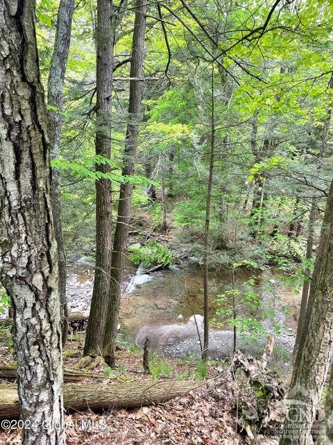 83 Mcculloch Cross Rd Rd, Medusa, New York image 39