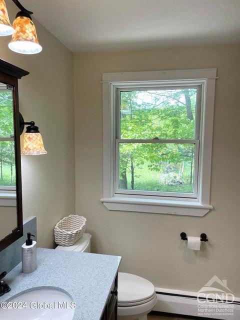 83 Mcculloch Cross Rd Rd, Medusa, New York image 28