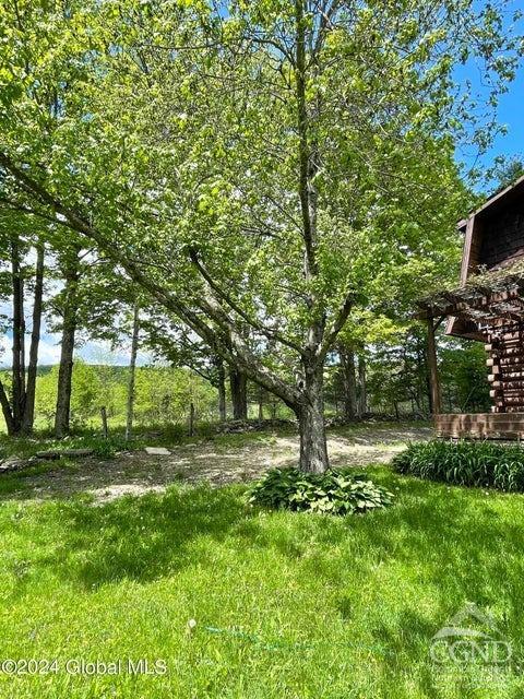 83 Mcculloch Cross Rd Rd, Medusa, New York image 35