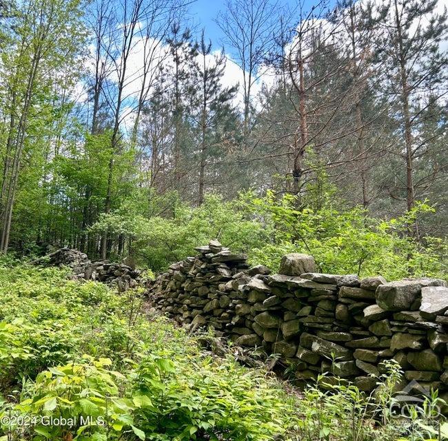 83 Mcculloch Cross Rd Rd, Medusa, New York image 37