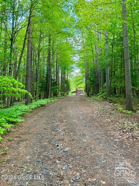 83 Mcculloch Cross Rd Rd, Medusa, New York image 38