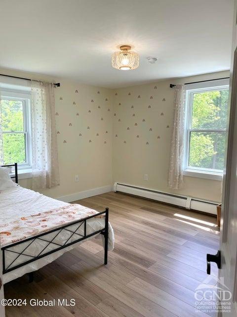 83 Mcculloch Cross Rd Rd, Medusa, New York image 23