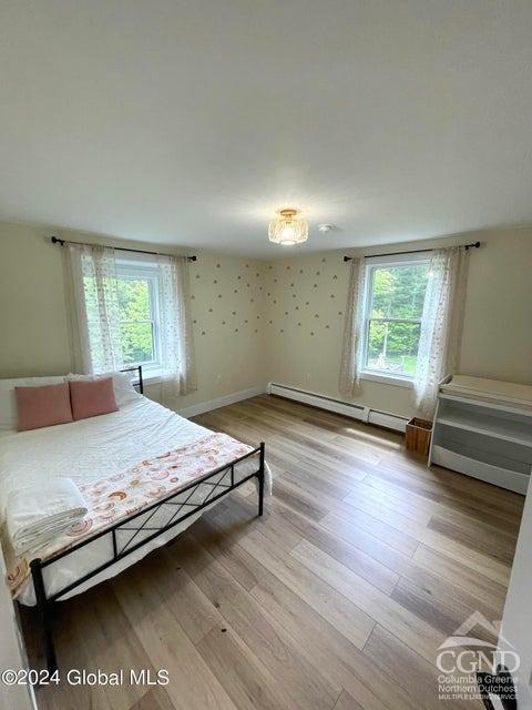 83 Mcculloch Cross Rd Rd, Medusa, New York image 22