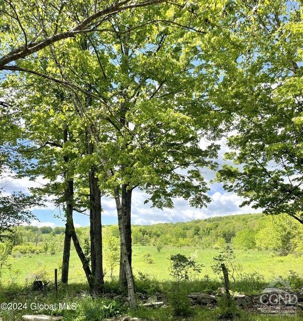 83 Mcculloch Cross Rd Rd, Medusa, New York image 40