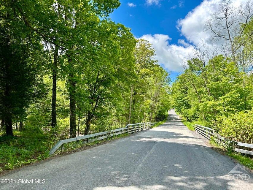 83 Mcculloch Cross Rd Rd, Medusa, New York image 42