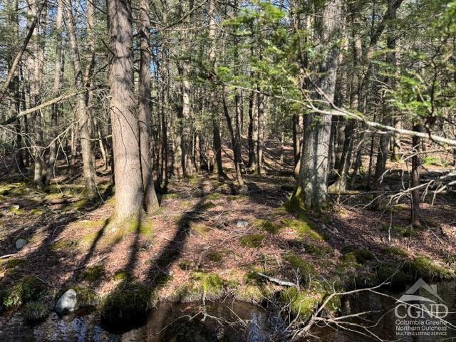 46 Pine Grove Rd, Kerhonkson, New York image 17