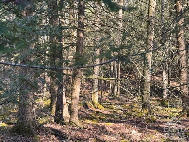 46 Pine Grove Rd, Kerhonkson, New York image 19