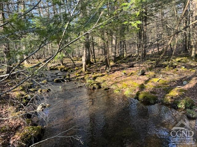 46 Pine Grove Rd, Kerhonkson, New York image 20