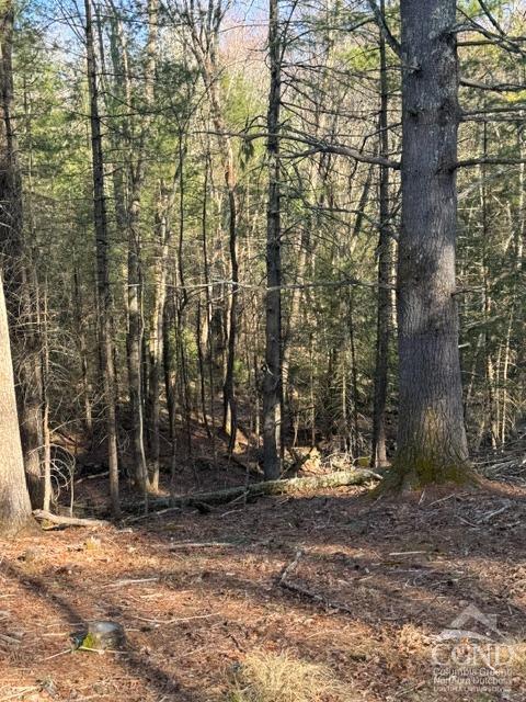 46 Pine Grove Rd, Kerhonkson, New York image 23