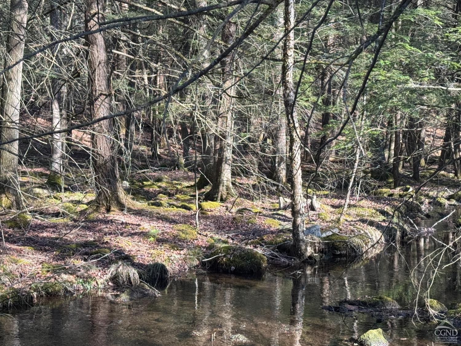 46 Pine Grove Rd, Kerhonkson, New York image 1