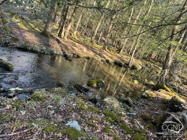 46 Pine Grove Rd, Kerhonkson, New York image 18