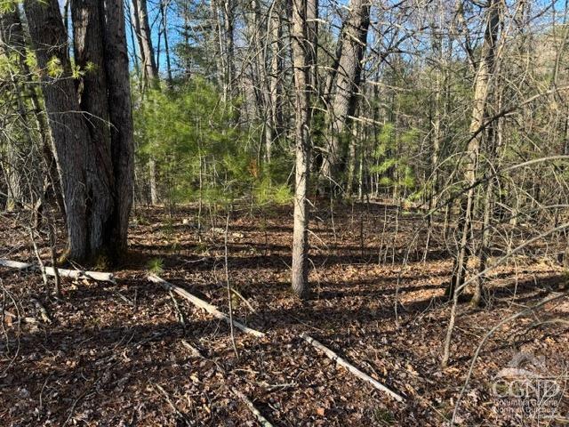 46 Pine Grove Rd, Kerhonkson, New York image 5