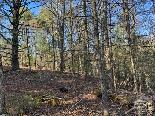 46 Pine Grove Rd, Kerhonkson, New York image 21