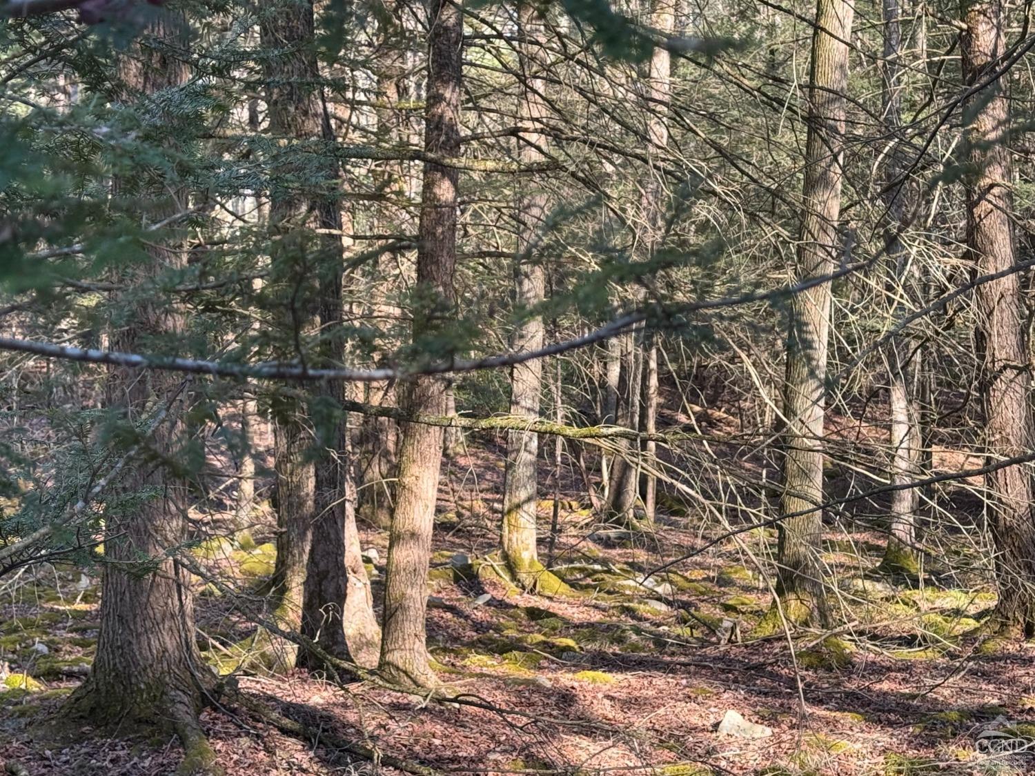 46 Pine Grove Rd, Kerhonkson, New York image 4