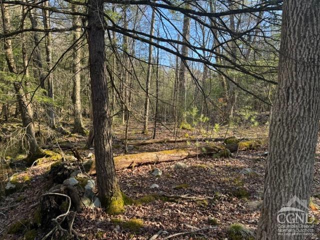 46 Pine Grove Rd, Kerhonkson, New York image 16