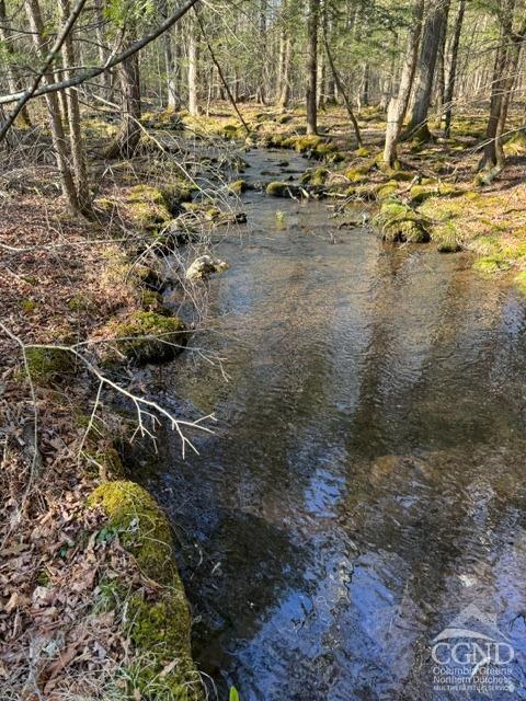 46 Pine Grove Rd, Kerhonkson, New York image 7