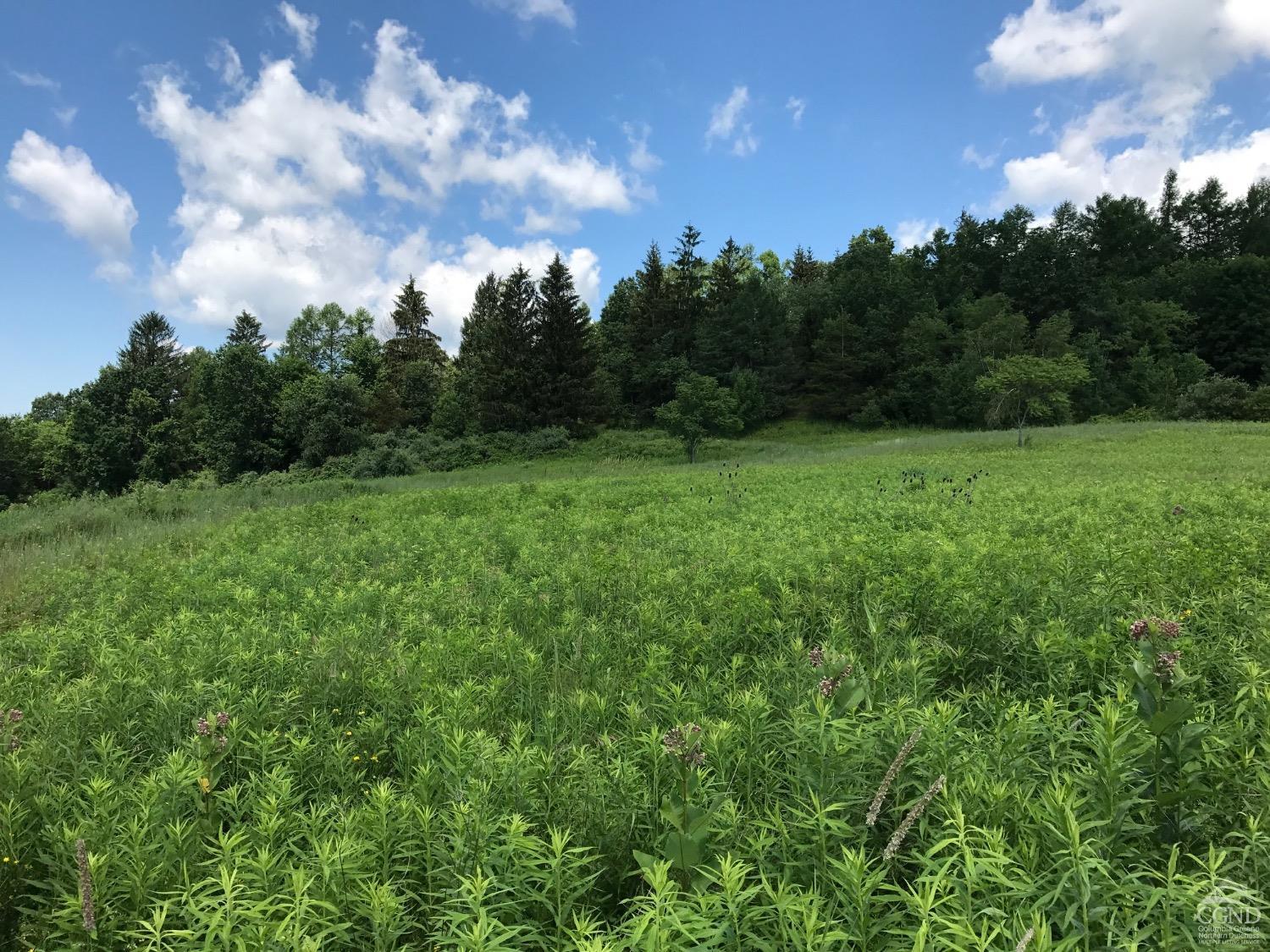 County Rte 7, Ancram, New York image 9