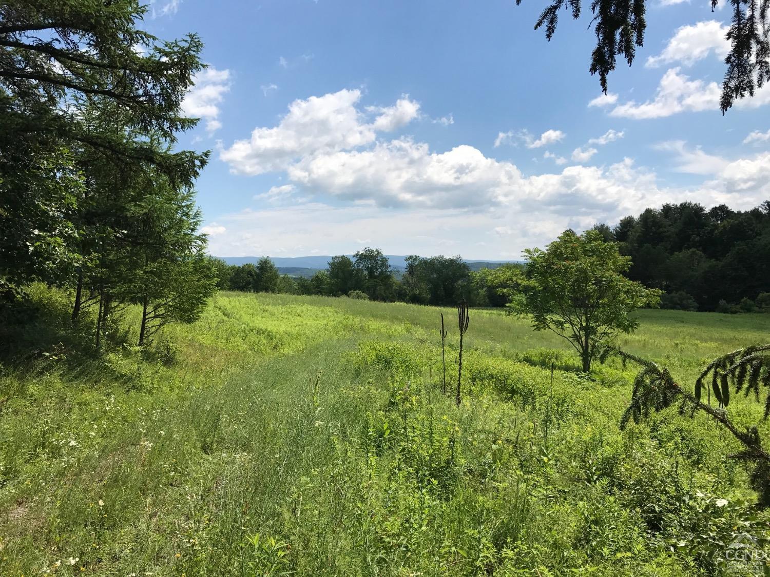 County Rte 7, Ancram, New York image 7