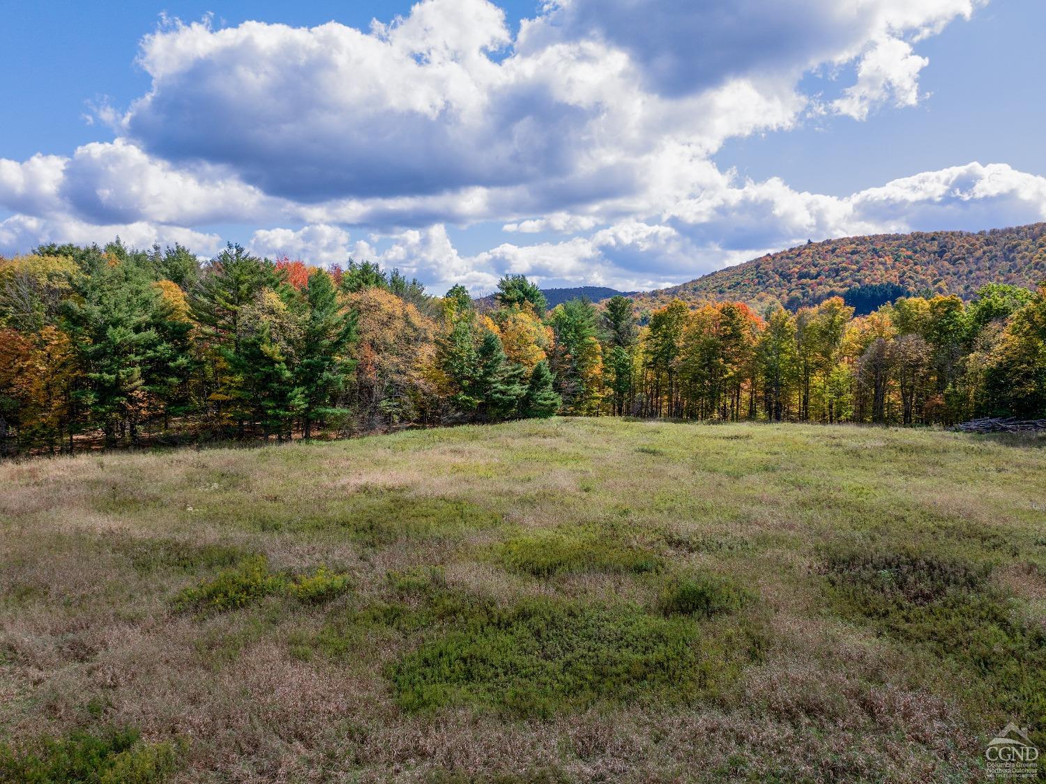 Elk Creek Road, East Meredith, New York image 4