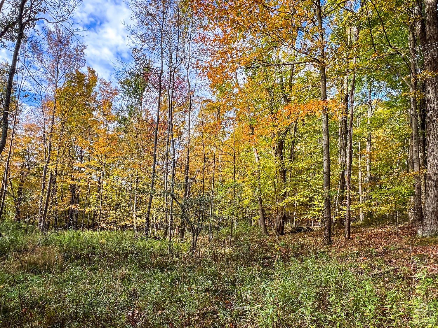 Elk Creek Road, East Meredith, New York image 40