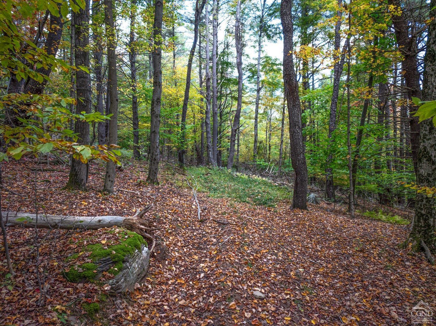 Elk Creek Road, East Meredith, New York image 11