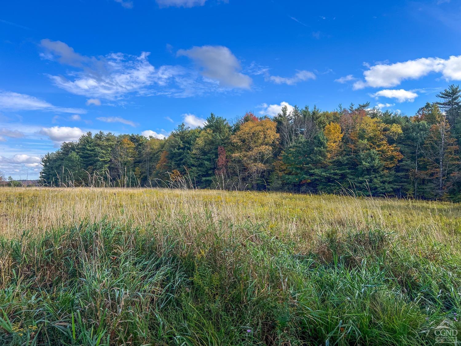 Elk Creek Road, East Meredith, New York image 45