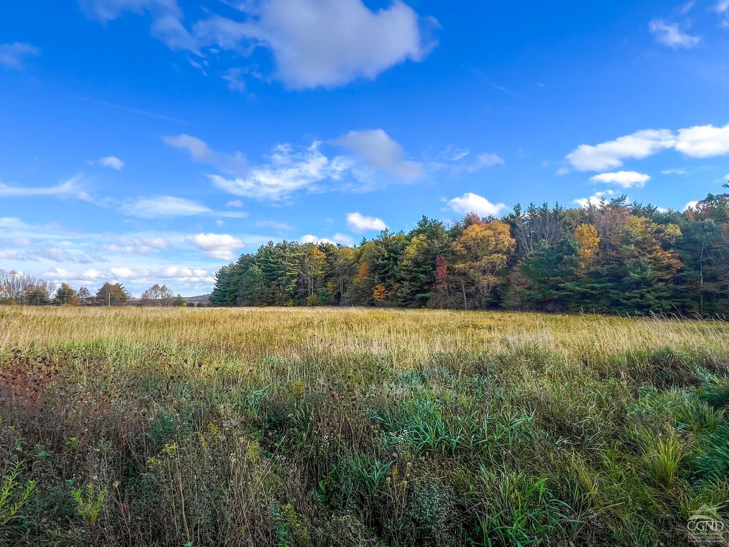 Elk Creek Road, East Meredith, New York image 46