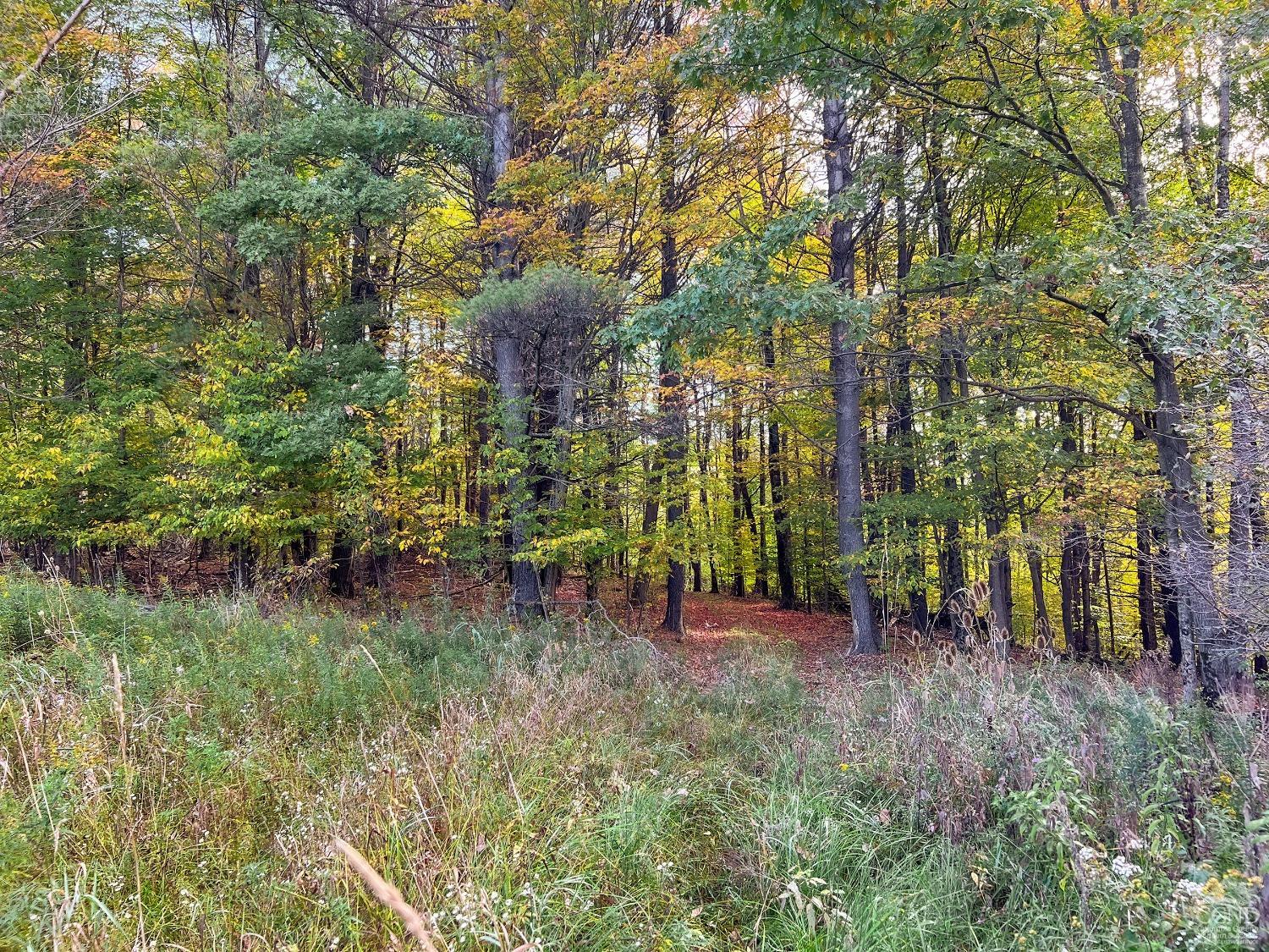 Elk Creek Road, East Meredith, New York image 8