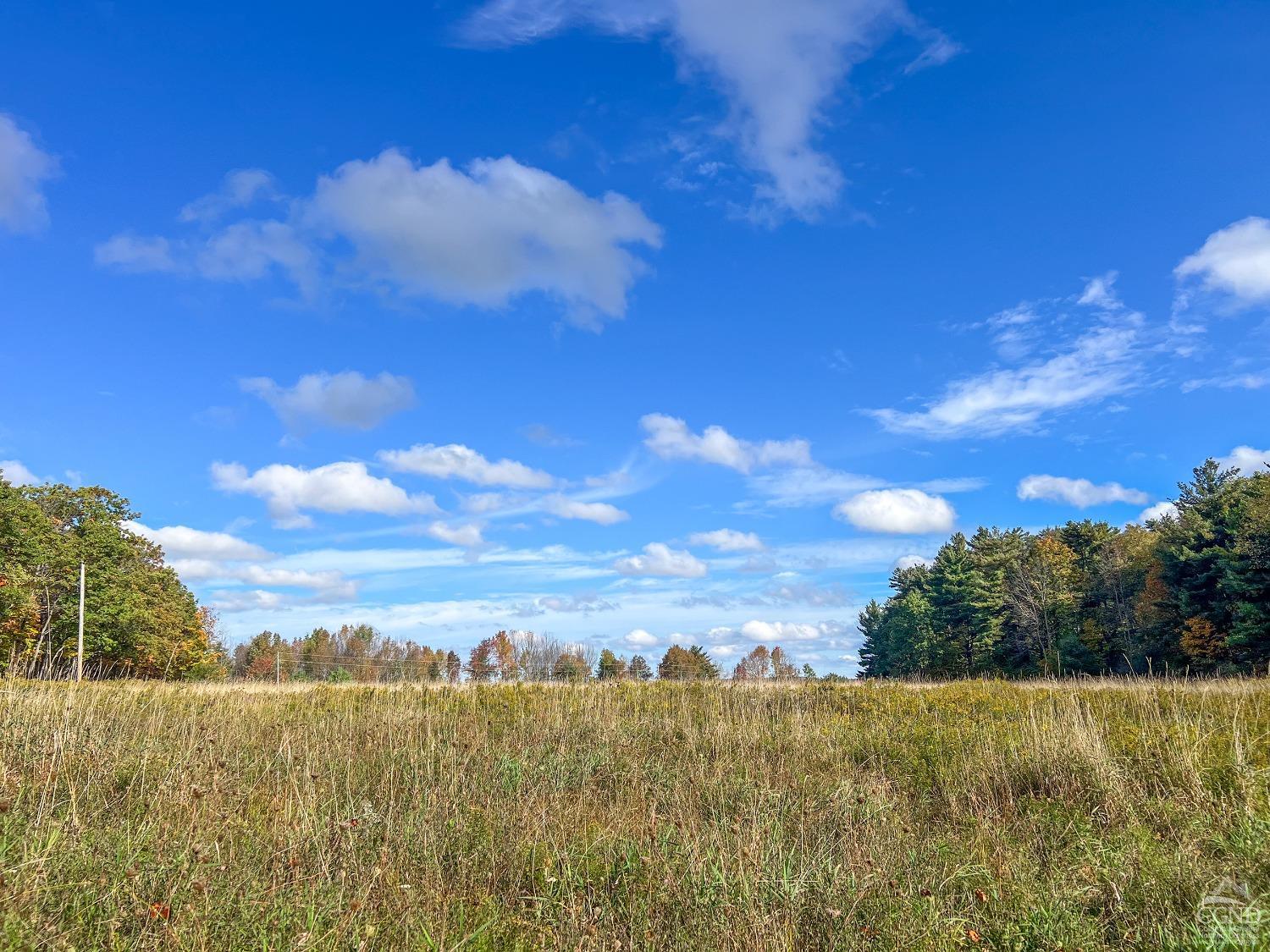 Elk Creek Road, East Meredith, New York image 43