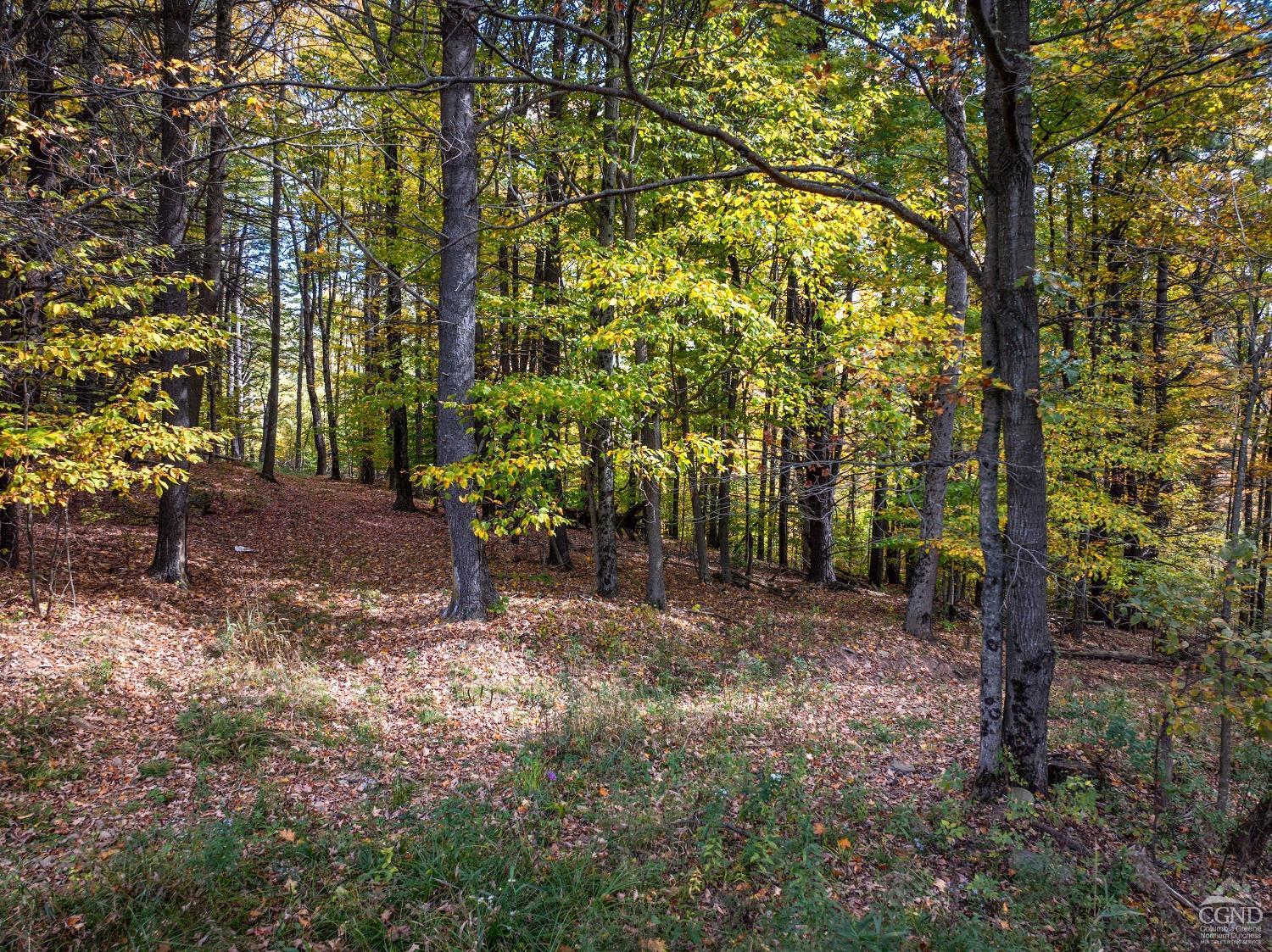 Elk Creek Road, East Meredith, New York image 9