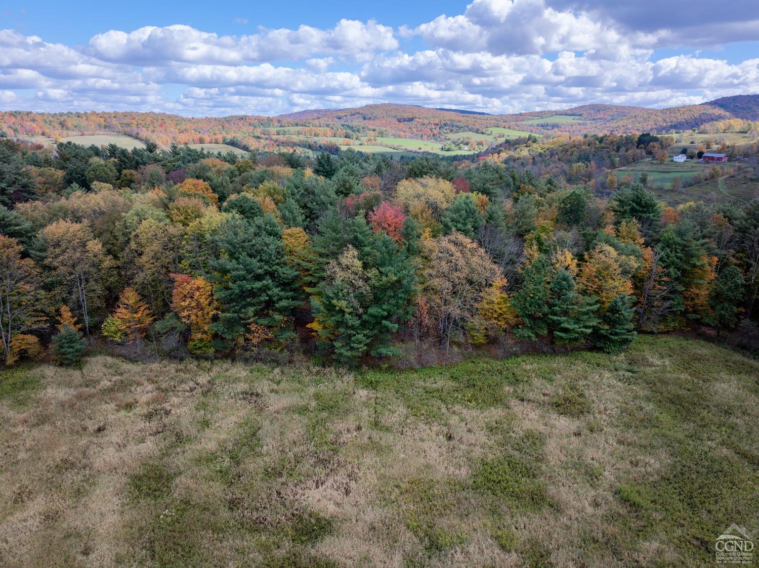 Elk Creek Road, East Meredith, New York image 6