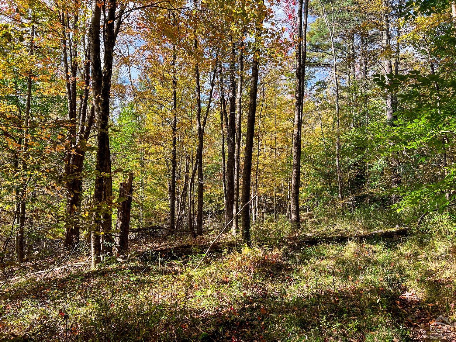 Elk Creek Road, East Meredith, New York image 30