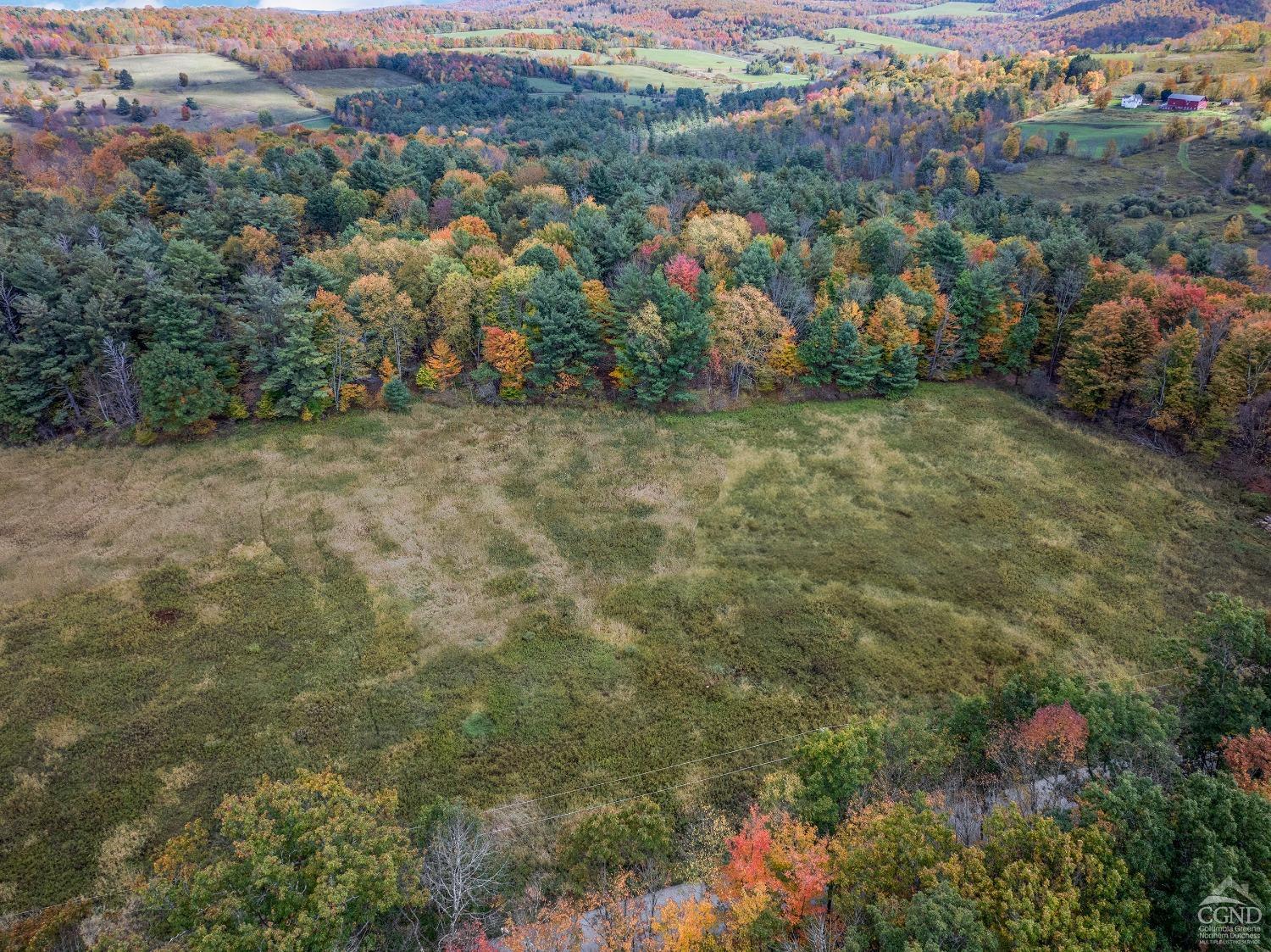 Elk Creek Road, East Meredith, New York image 5