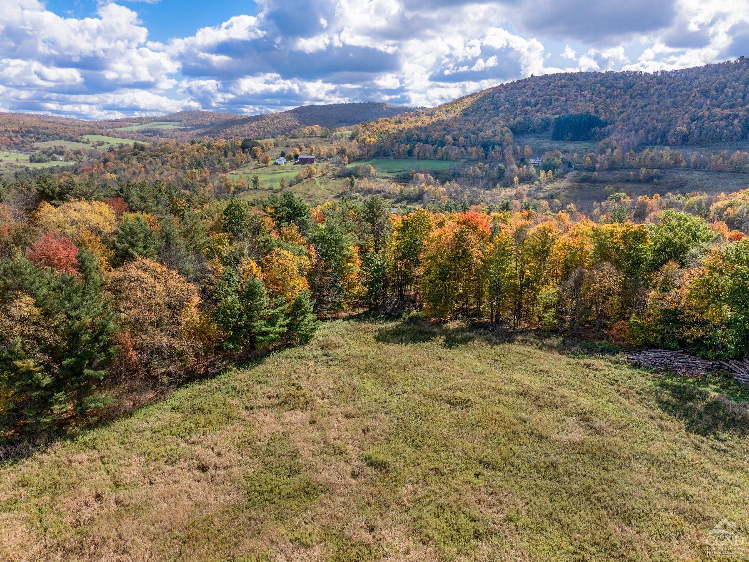 Elk Creek Road, East Meredith, New York image 2