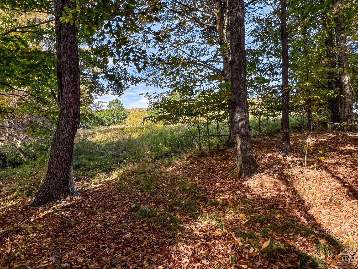 Elk Creek Road, East Meredith, New York image 18