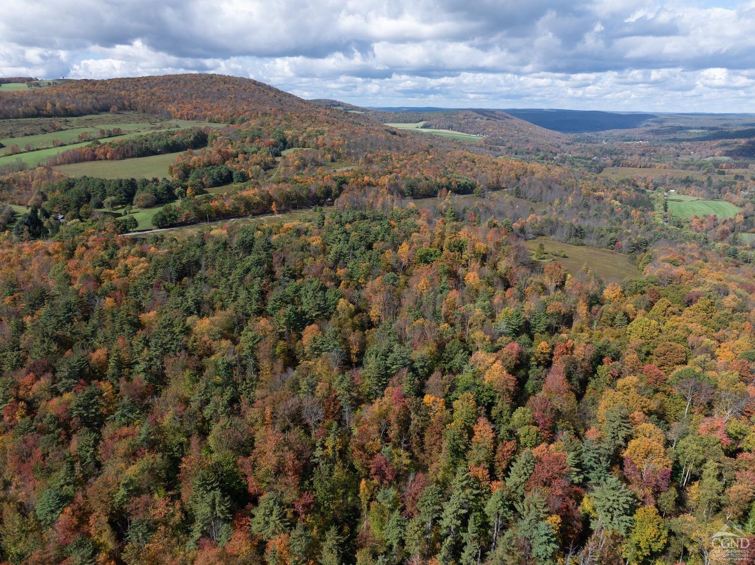 Elk Creek Road, East Meredith, New York image 3